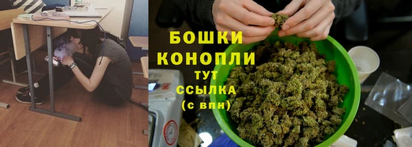 прущий лед Арсеньев