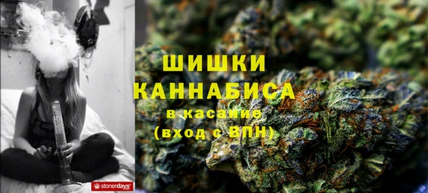PSILOCYBIN Армянск