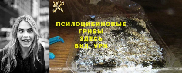 PSILOCYBIN Армянск