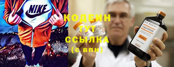 прущий лед Арсеньев