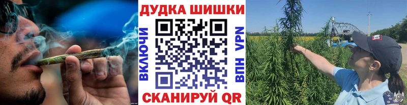 mega как войти  где можно купить наркотик  Пыталово  Канабис AK-47 